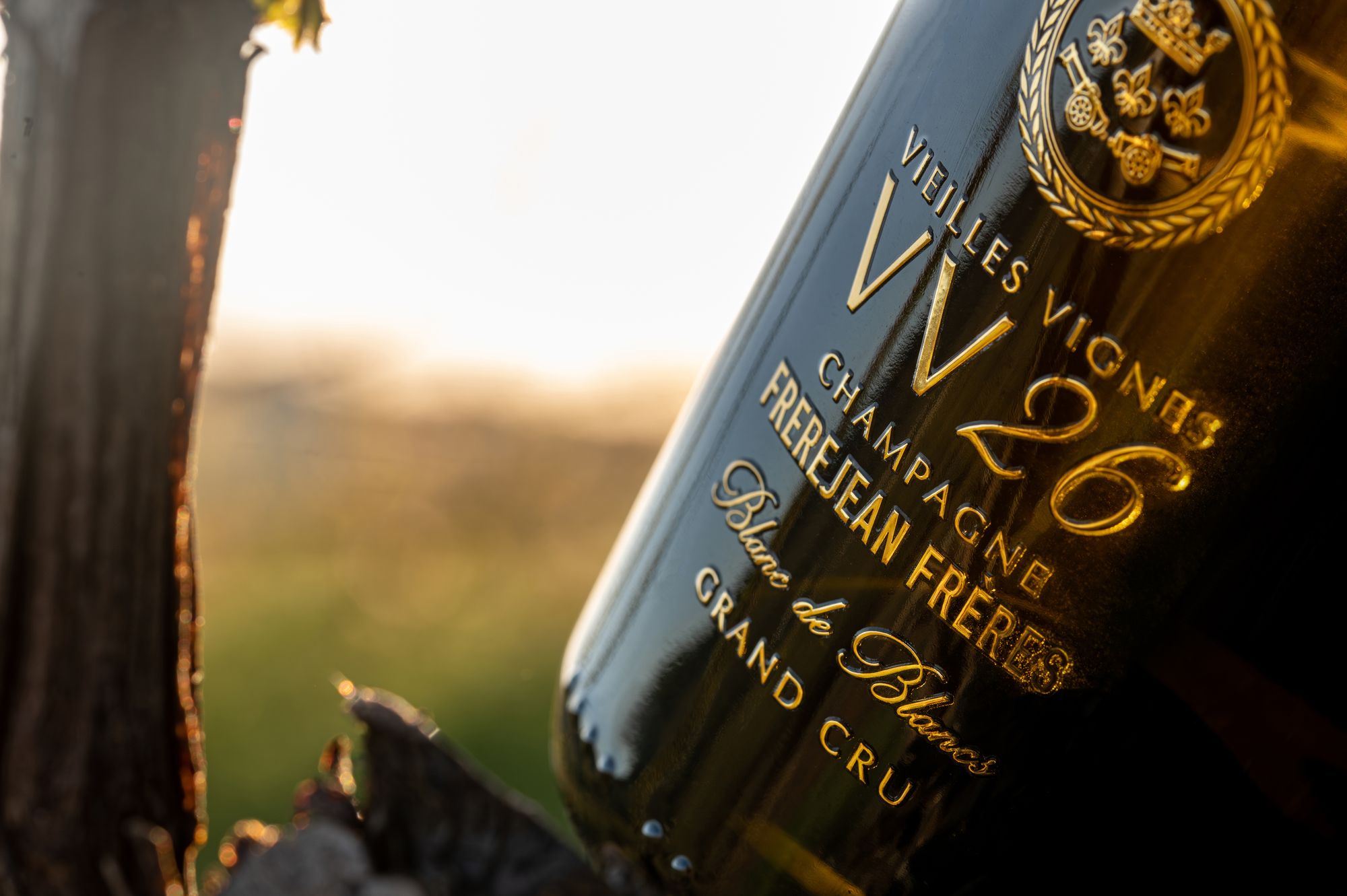 Champagne Frerejean Frères — bouteille Vieilles Vignes VV26 Blanc de Blancs Grand Cru, lumière du soir