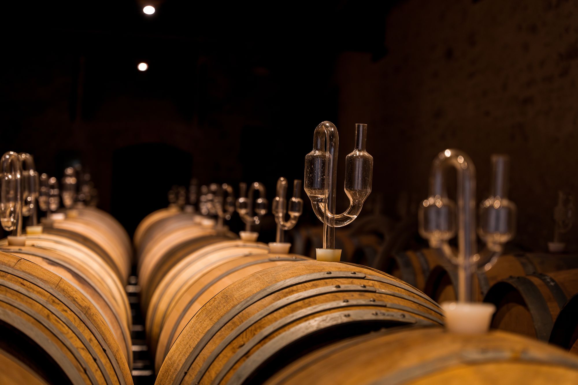 Fûts de chêne et cuves à bouchon de verre dans la cave de Champagne Frerejean Frères
