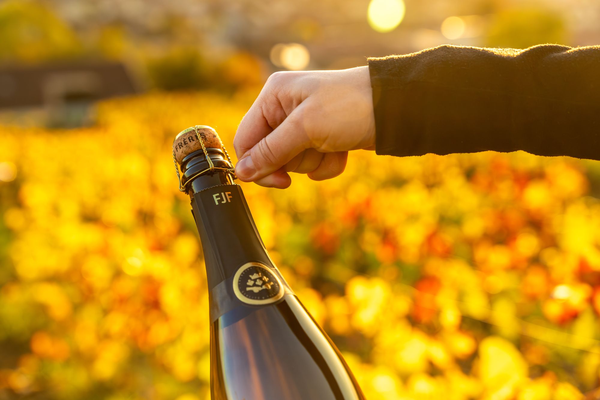 Bouteille de champagne Frerejean Frères dans un champ de fleurs jaunes d’automne