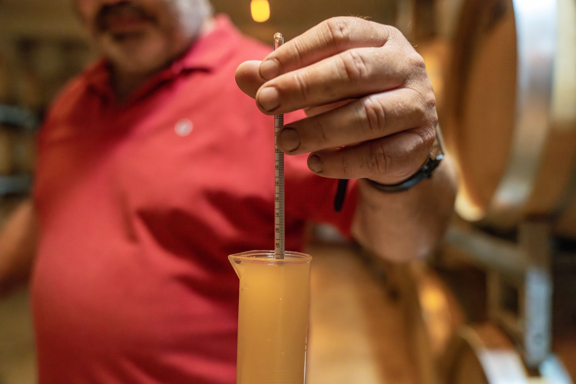 Mesure au densimètre d’un vin clair en cave, Champagne Tarlant