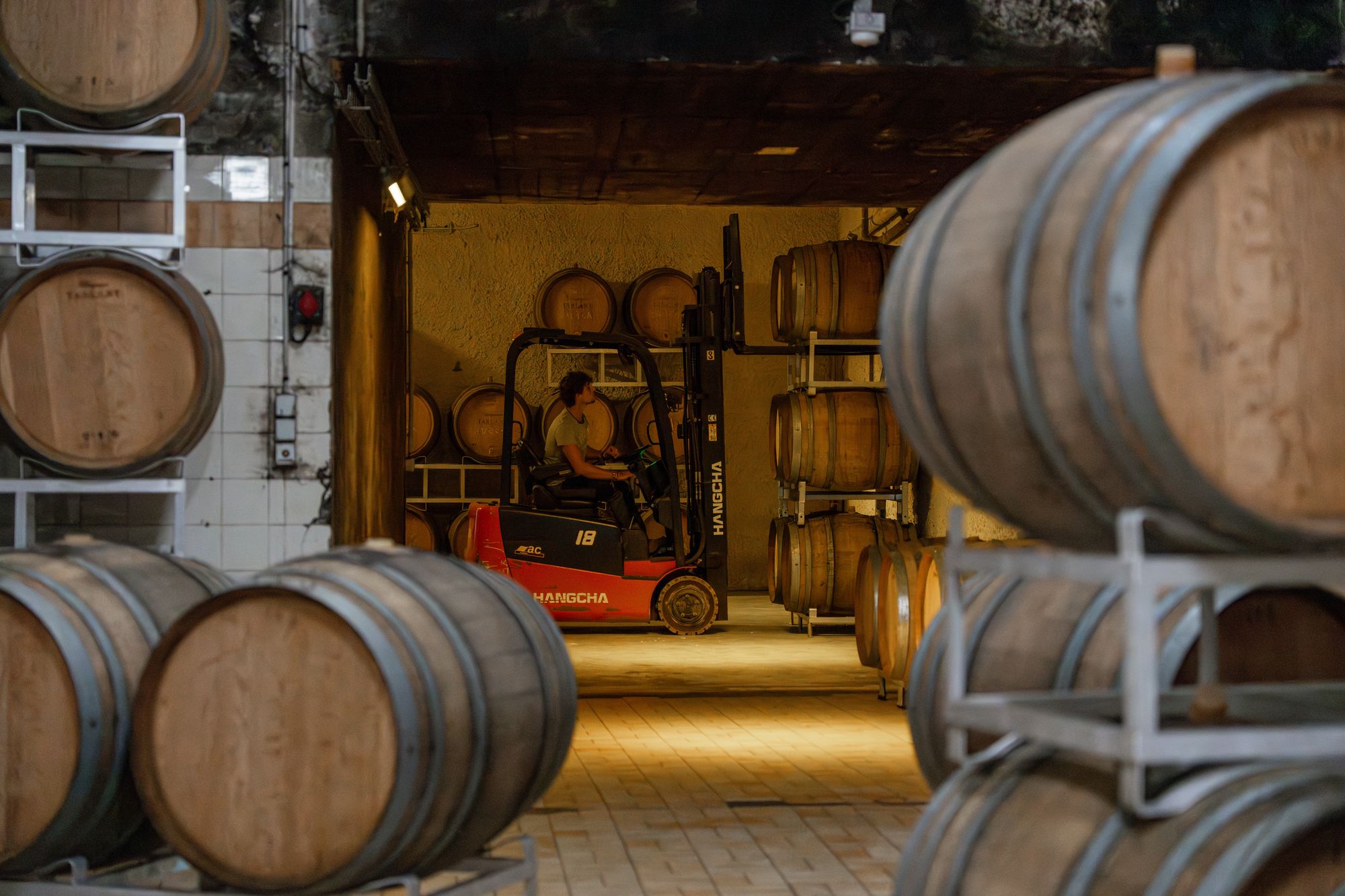 Chai de Champagne Tarlant avec fûts de chêne et chariot élévateur