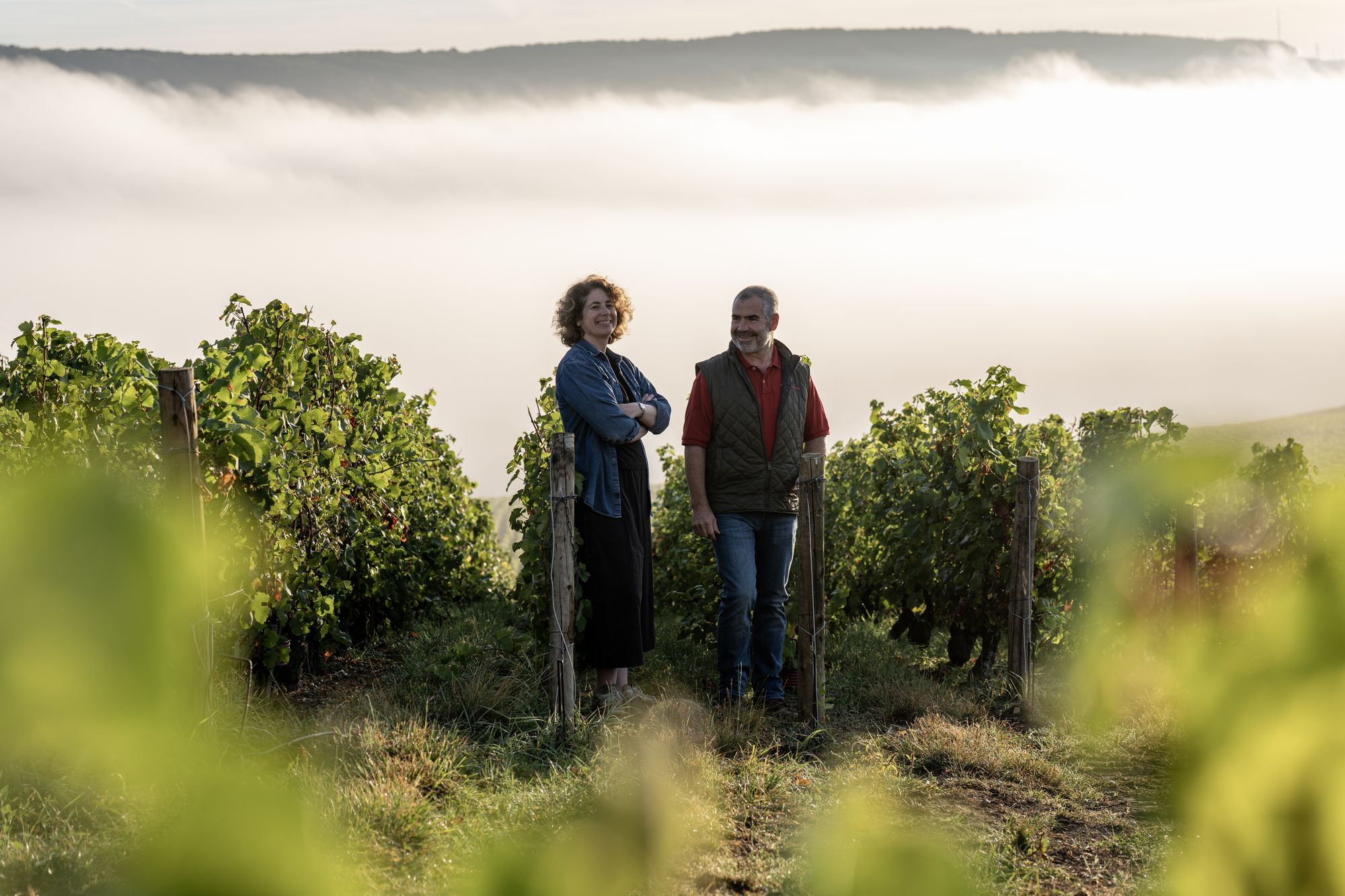 Champagne Tarlant — vignerons dans leurs vignes au lever du jour, brume sur la vallée de la Marne