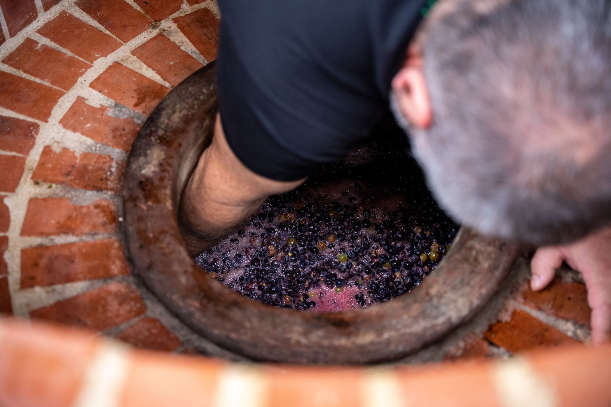 Raisin foulé à la main dans une cuve en brique, Champagne Tarlant